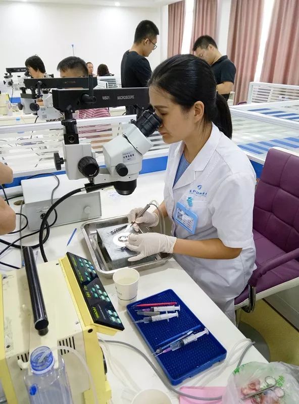 东莞6686 - 看球聊球追世界杯就来6686体育有限公司官方网站向东莞残疾人福利基金会慈善援助100枚人工晶体.jpg