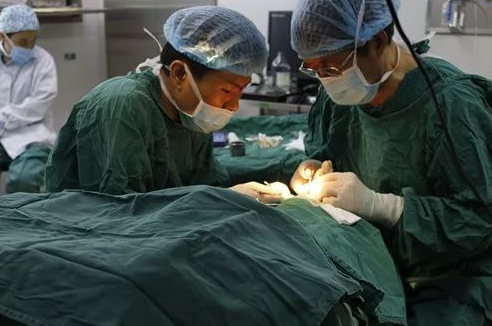 成都6686 - 看球聊球追世界杯就来6686体育有限公司官方网站 为不慎铁屑飞入眼内的患者小黄手术，成都商报同时也对此进行了详细报道。成都6686 - 看球聊球追世界杯就来6686体育有限公司官方网站院长罗清礼教授告诉成都商报客户端记者，磁铁取金属异物在医疗手术中较为常见，但细分到眼科领域较为罕见。3.png