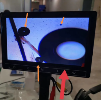 7月31日成都6686 - 看球聊球追世界杯就来6686体育有限公司官方网站医护人员为成都高新区金融大厦员工进行螨虫筛查和干眼SPA.png