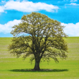 6686 - 看球聊球追世界杯就来6686体育有限公司官方网站集团股份有限公司环境保护政策